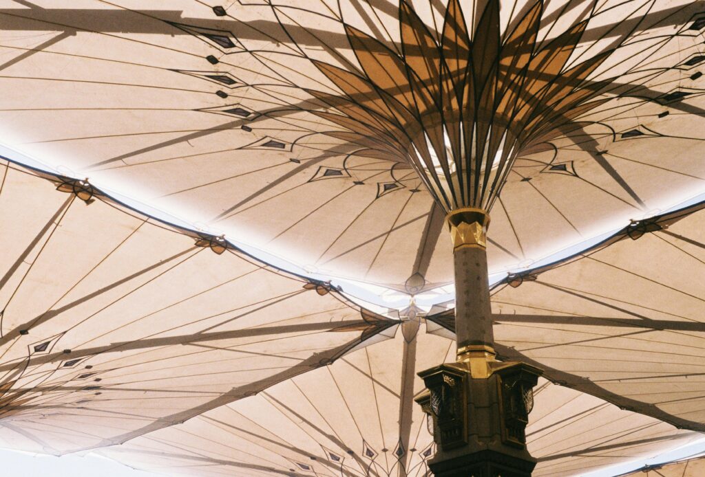 SEC Approves Trading of Ether ETF Options