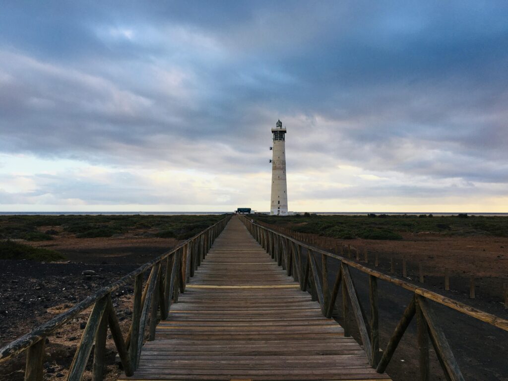 Why is Solana (SOL) price up today?